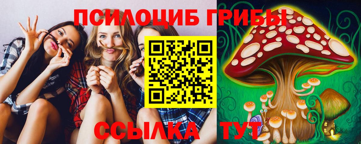 Галлюциногенные грибы ЛСД Новотроицк