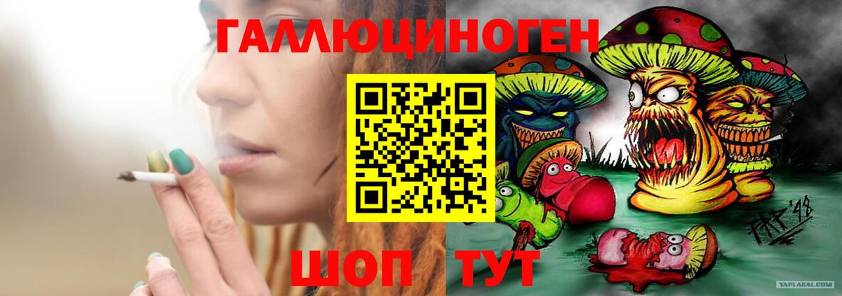 Новотроицк  Псилоцибиновые грибы GOLDEN TEACHER  Псилоцибиновые грибы Magic Shrooms  Вход с VPN 